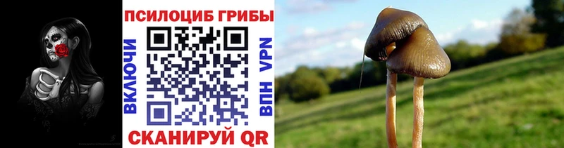 купить наркотики сайты  Артёмовский  Псилоцибиновые грибы Cubensis 